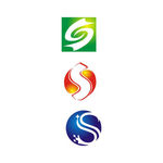 字母S的LOGO