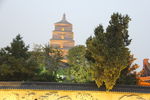 西安大慈恩寺玄奘纪念馆大雁塔