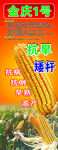 玉米展架