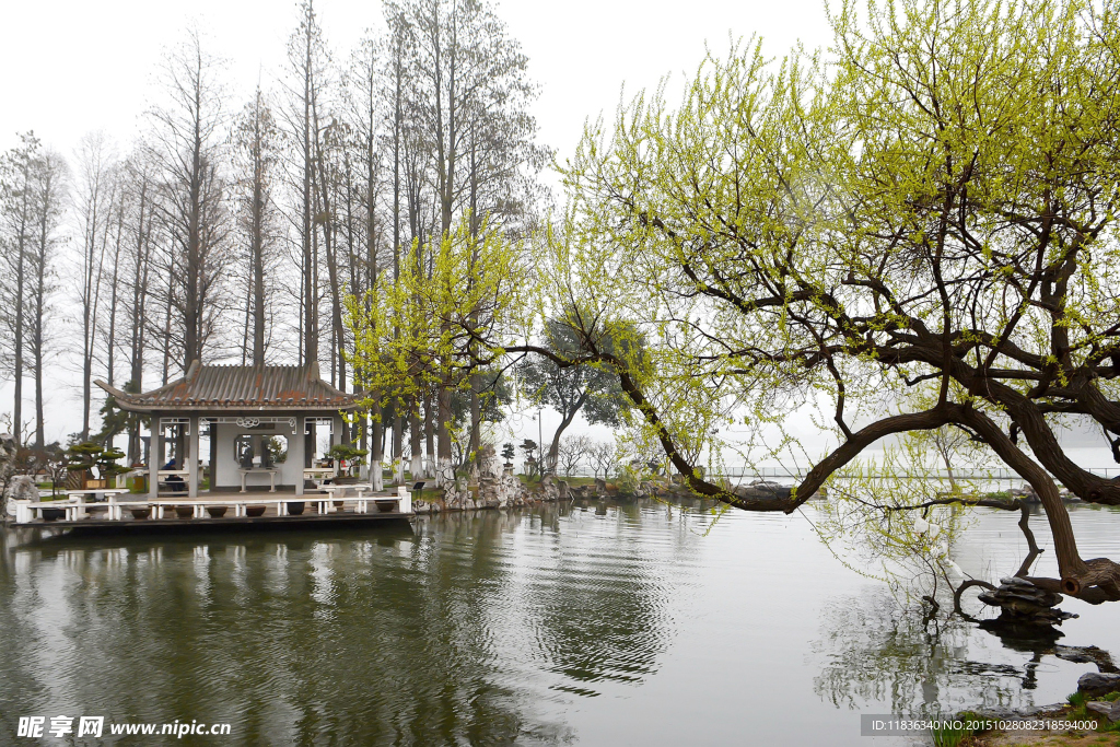 南京玄武湖公园