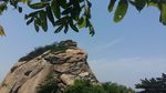 信阳鸡公山