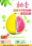 水果海报