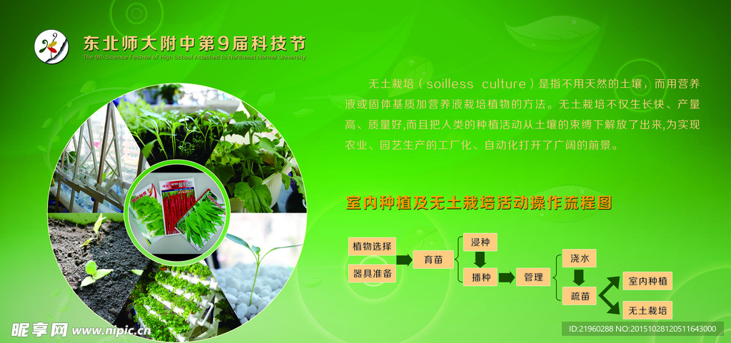科技流程图  绿色背景