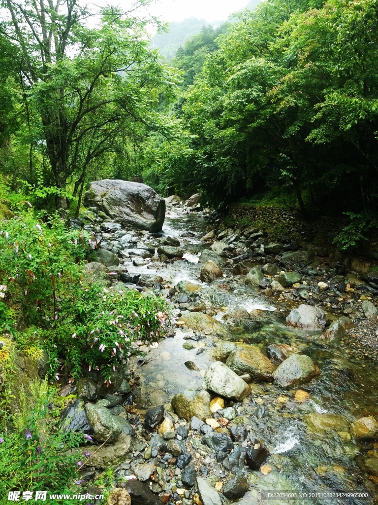 神农架官门山