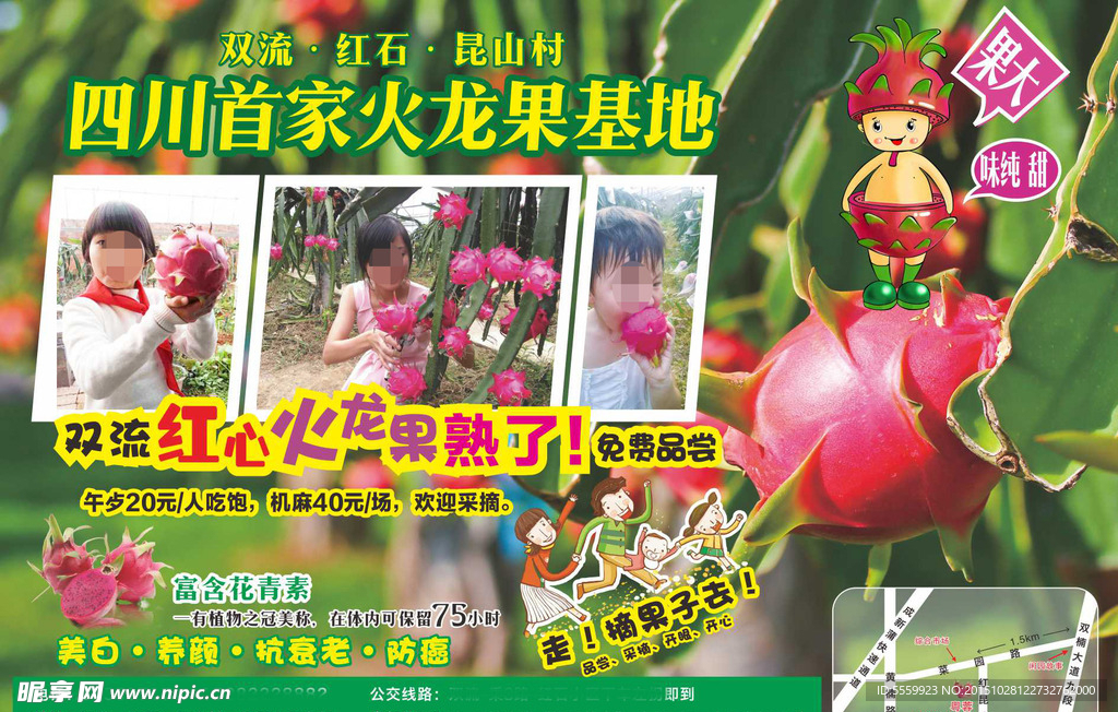 火龙果