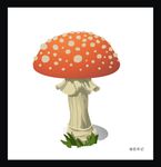 蘑菇 飞木耳 红色 有毒 自然