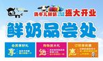 鲜奶 品尝