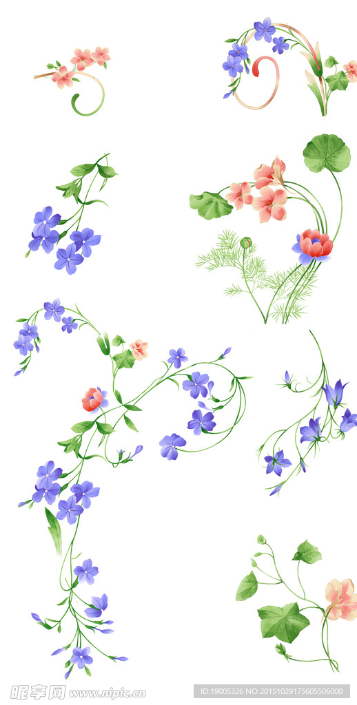 手绘花朵
