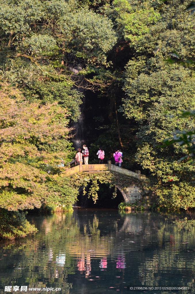 龙井村 山水 小桥流水