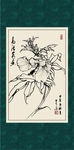 白描秋葵