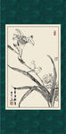 萱草