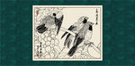 葡萄
