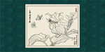 白描百合