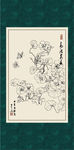 旱金莲