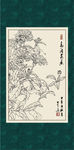 长春花
