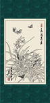 白描兰花