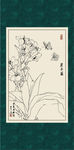 君子兰