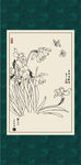 白描水仙