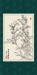 蚕豆花