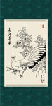 马鸡太平花