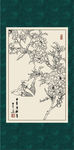碧桃