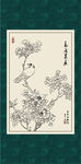 西府海棠