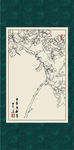 泡桐