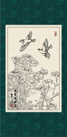 野山菊