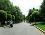 哈尔滨太阳岛风景