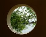 哈尔滨太阳岛风光