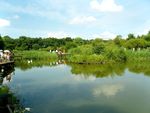 哈尔滨太阳岛风景