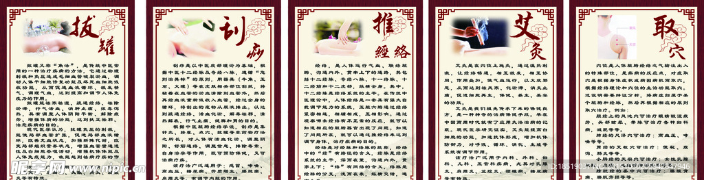 养生制度