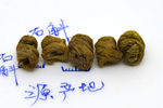 石斛 石斛卷 石斛风斗 养生石