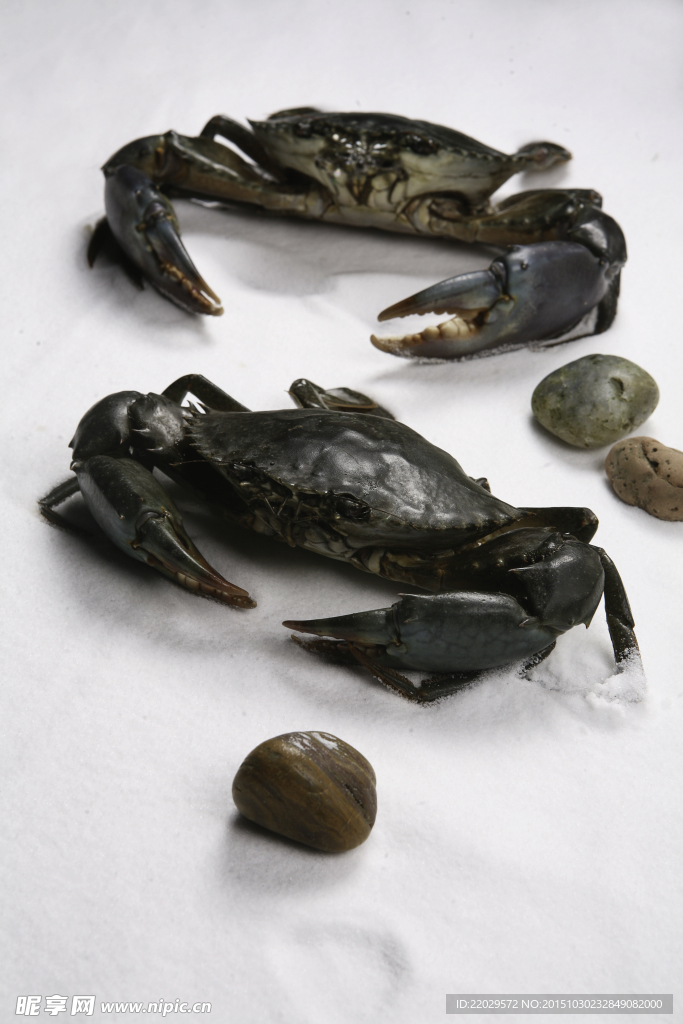 海鲜开篇