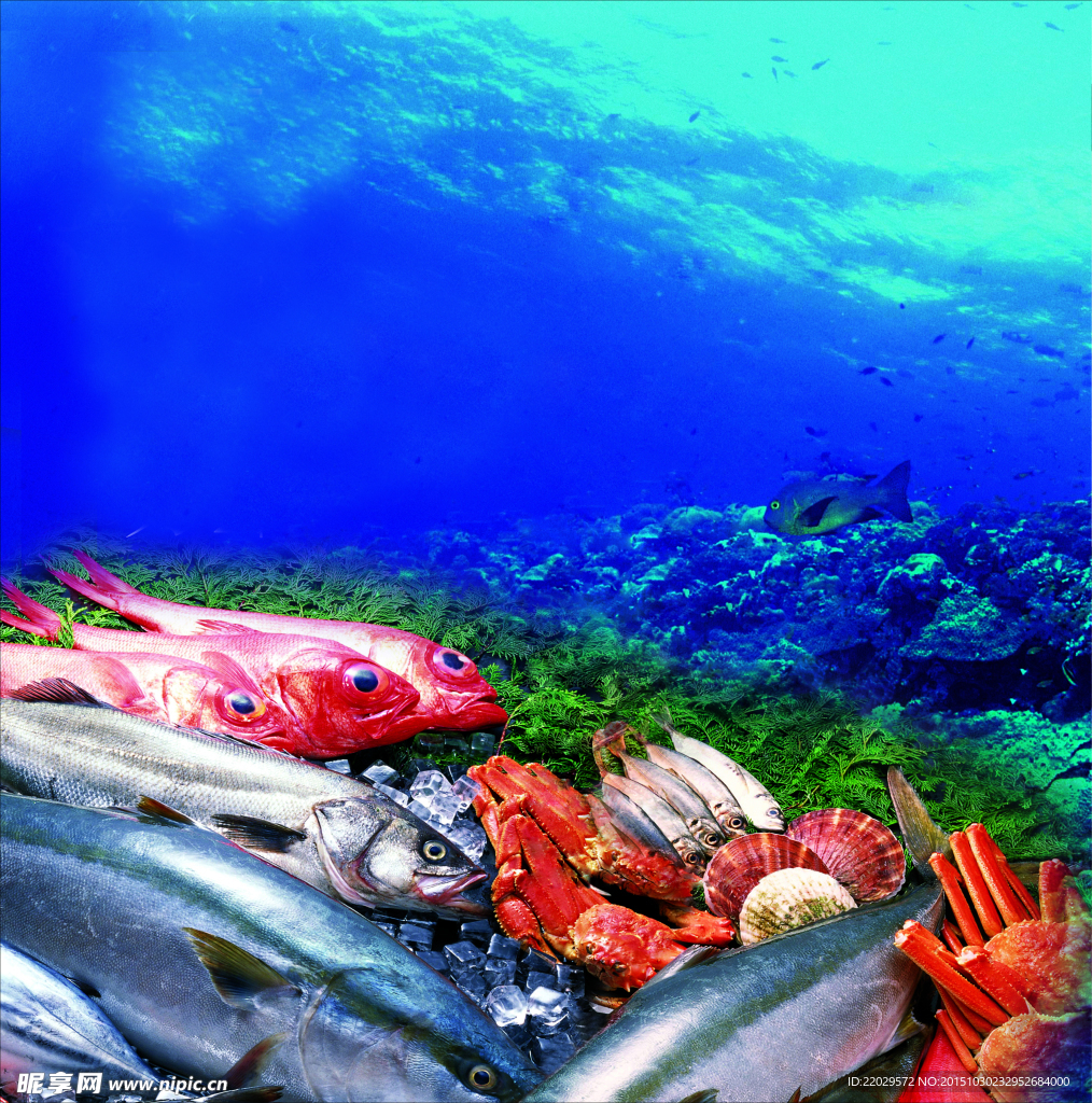 海鲜