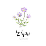 时尚花纹图片