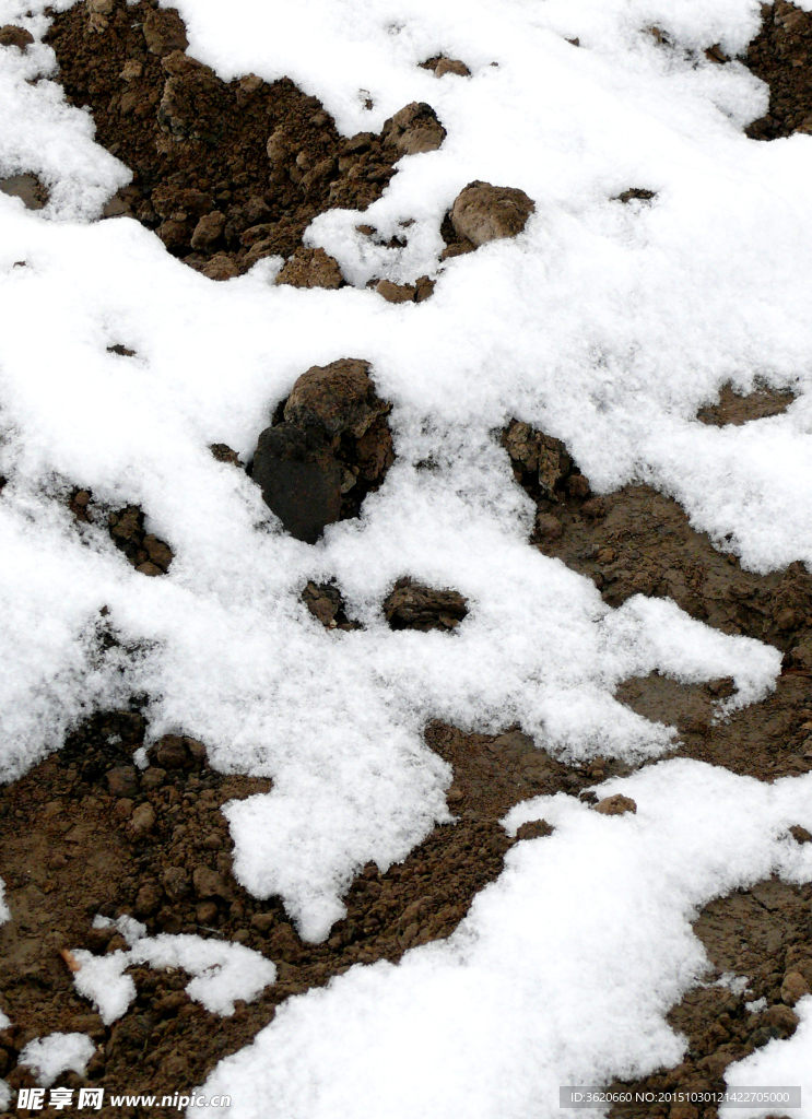 雪