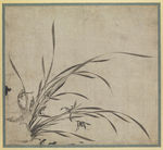 古代名画 元代 普明 兰图