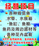 鱼水族馆海报