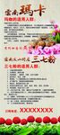 玛卡展架
