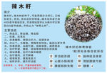 辣木籽标签