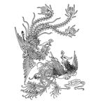 中国龙凤纹 古典龙凤纹 龙纹底