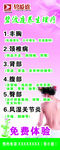 美容养生X展架