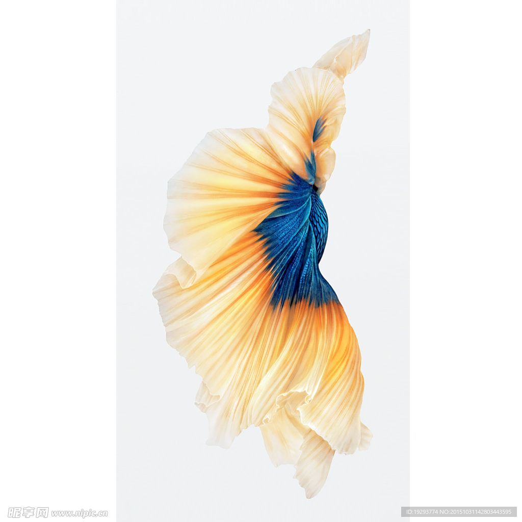 iphone6s 壁纸