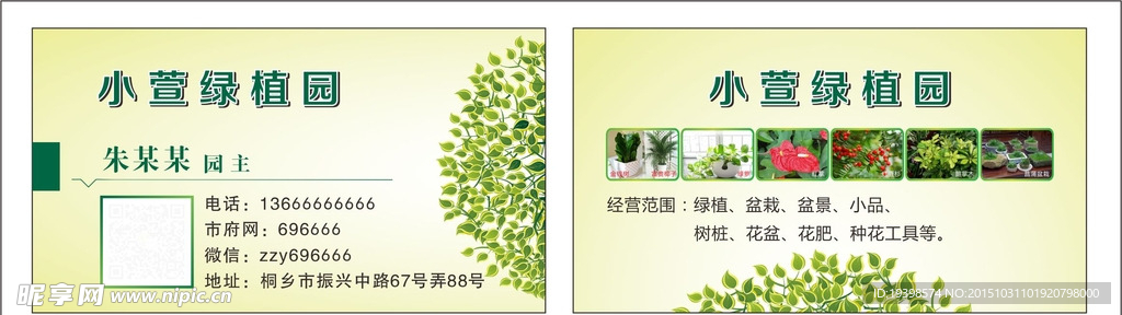 植物盆景名片