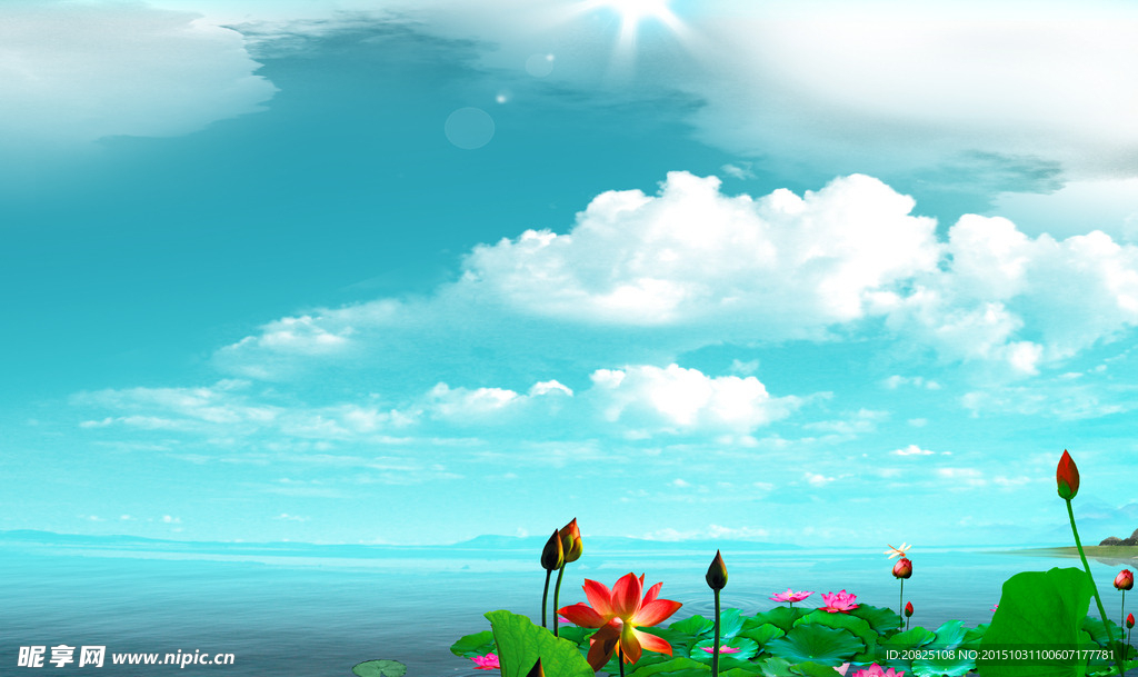 湖面风景 荷花