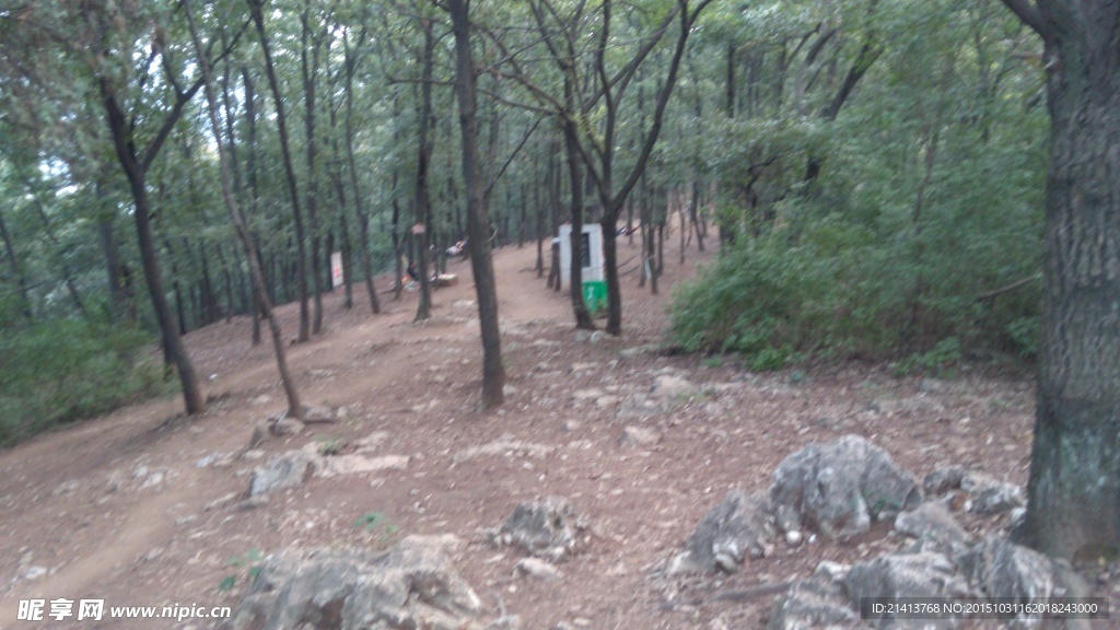 山林树木