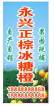 冰糖橙