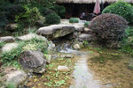 池塘 水潭 大石头