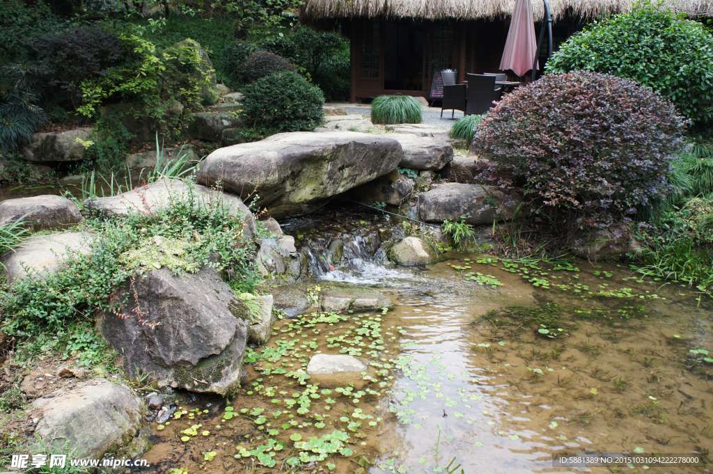 池塘 水潭 大石头